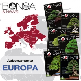 Abbonamento annuale BONSAI & news - EUROPA
