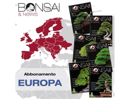 Abbonamento annuale BONSAI & news - EUROPA