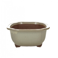 Vaso 28.5 cm