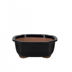 Vaso 20 cm