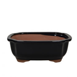 Vaso 26,7 cm