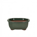 Pot 20 cm