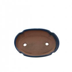 Pot 21 cm