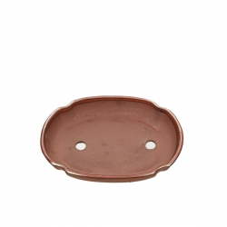 Pot 21 cm