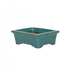 Pot 10.5 cm