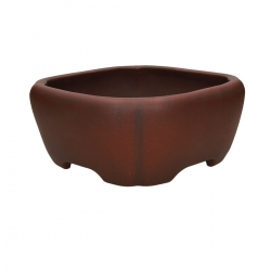 Pot Shuiming 24 cm