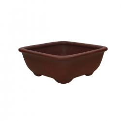 Vaso Shuiming 24.5 cm