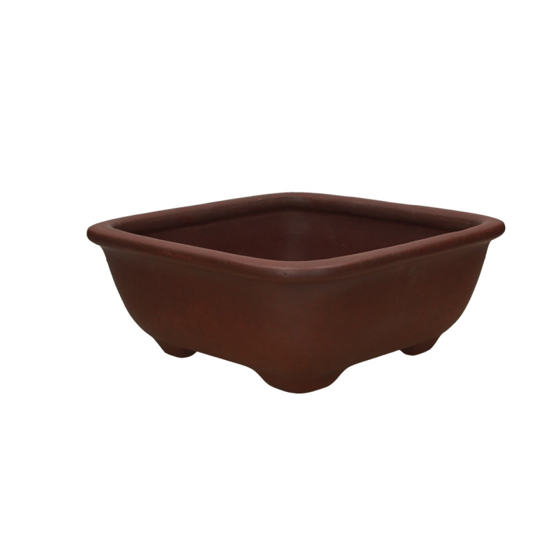Vaso Shuiming 24.5 cm