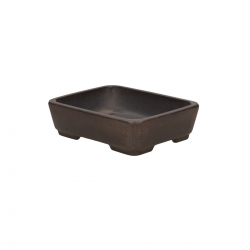 Pot Shuiming 13.5 cm