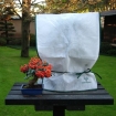 Cappuccio protezione bonsai invernale