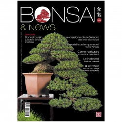 BONSAI & news 183 - Gennaio-Febbraio 2021