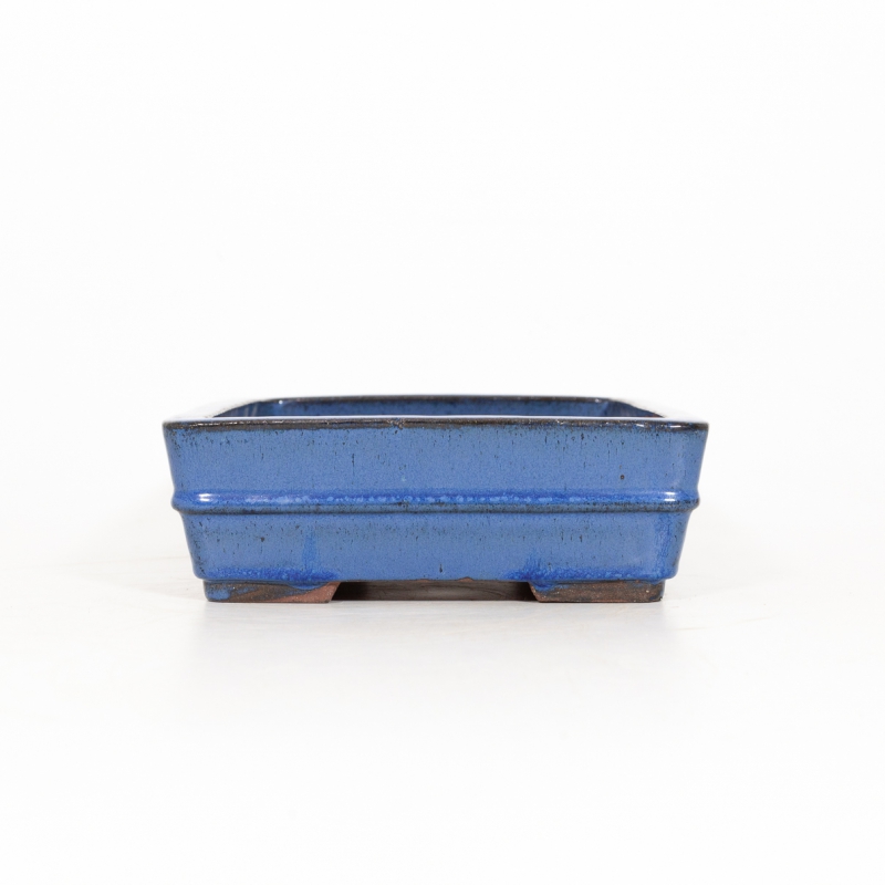Pot 31 cm