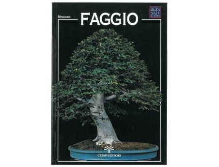 Faggio - Miniguida BONSAI & news