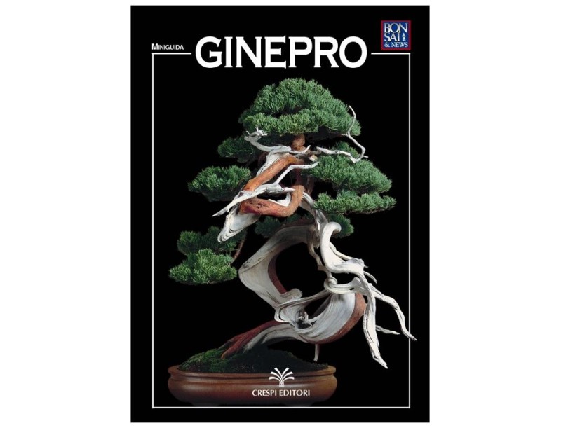 Enebro - Miniguía BONSAI y noticias