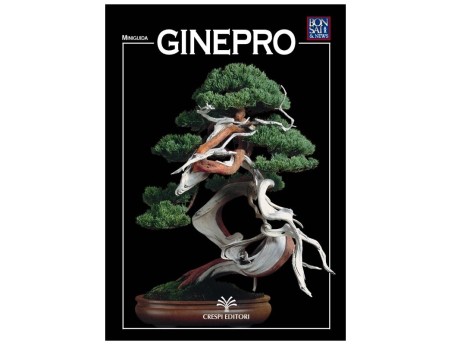 Jeneverbes - Minigids BONSAI & nieuws