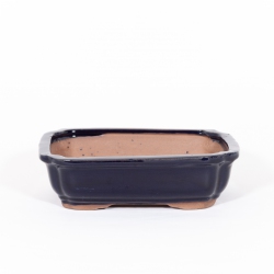 Pot 21 cm