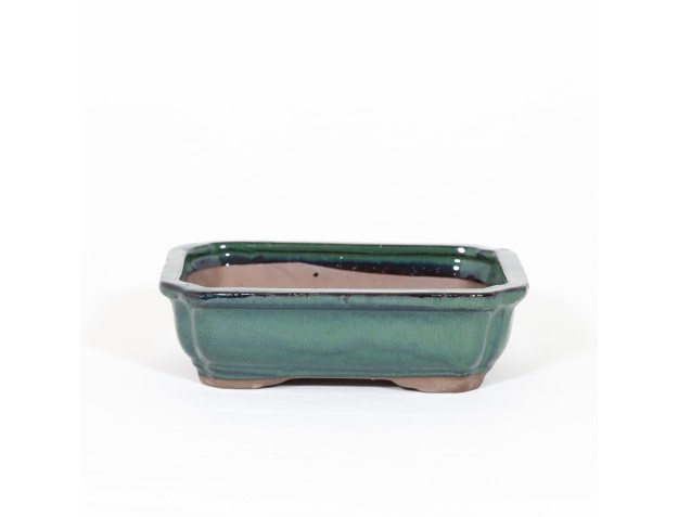 Pot 21 cm