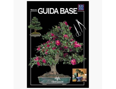 Guida Base - Miniguida BONSAI & news