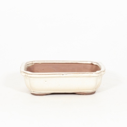 Vaso 21 cm