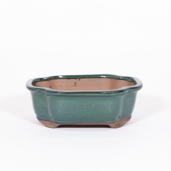 Pot 21 cm