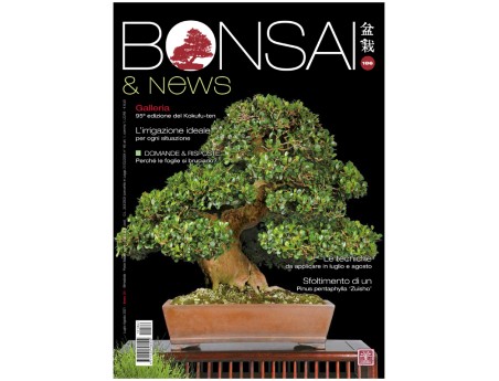 BONSAI & news 186 - July-August 2021