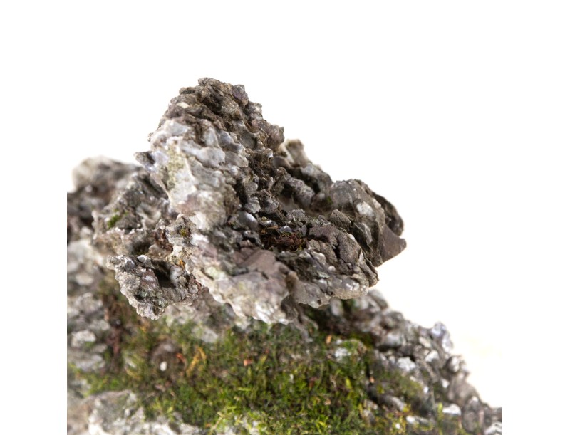 Roche Ibigawa - H 18 cm