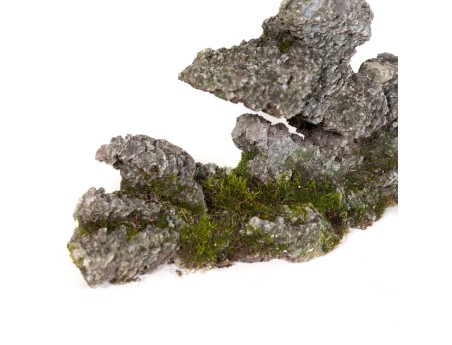 Ibigawa rock - H 21 cm