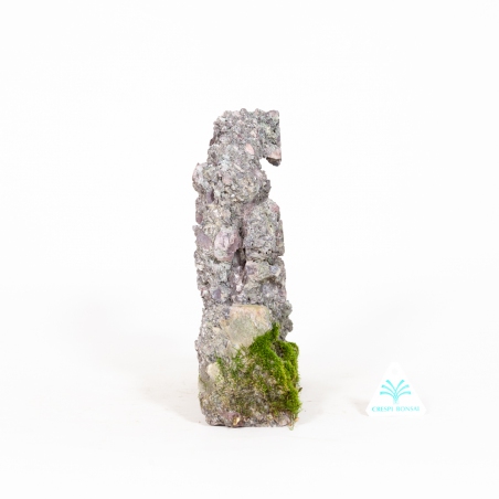 Ibigawa rock - H 25 cm