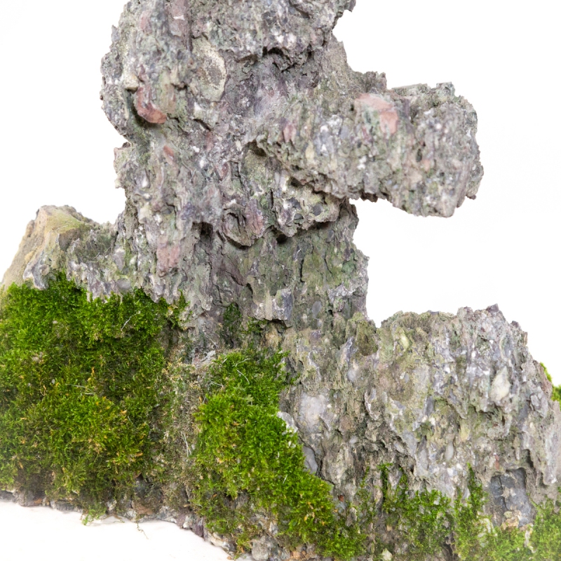 Roccia Ibigawa - H 25 cm