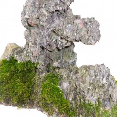 Roccia Ibigawa - H 25 cm