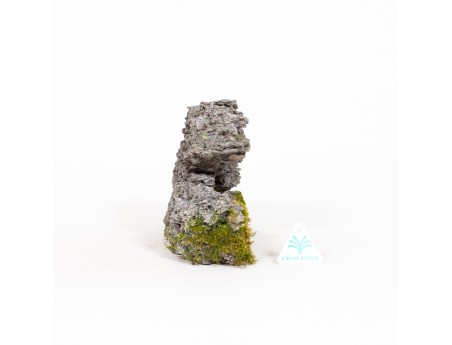 Roccia Ibigawa - H 17,5 cm