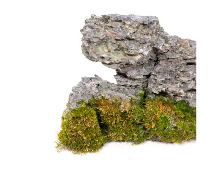 Roccia Ibigawa - H 17,5 cm