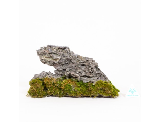 Roccia Ibigawa - H 17,5 cm