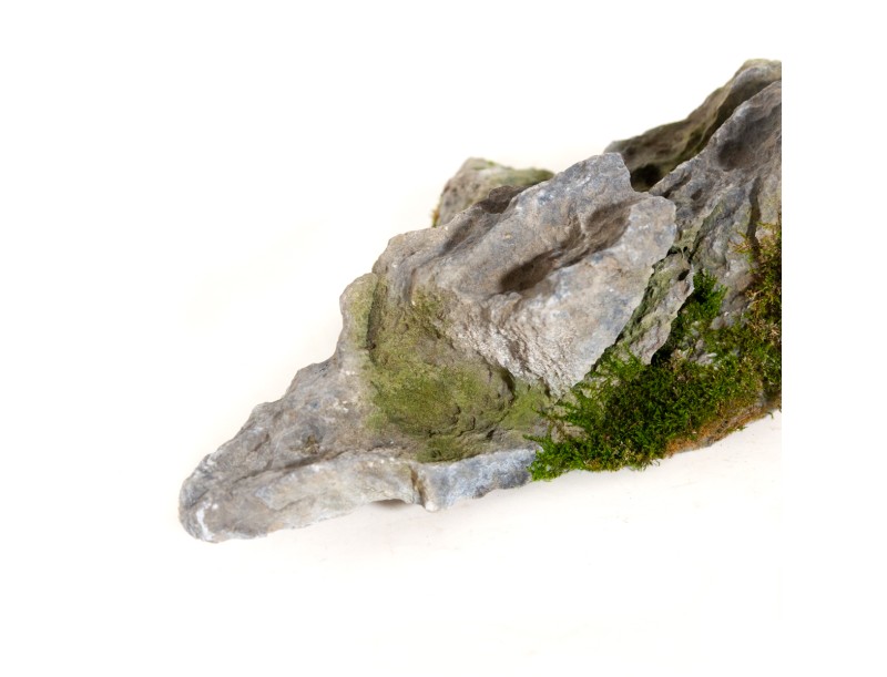 Roche naturelle - H 12 cm