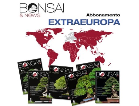 Abbonamento annuale BONSAI & news - EXTRA EUROPA