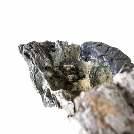 Roche Ibigawa - H 28 cm