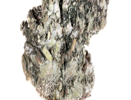 Roche Ibigawa - H 79 cm