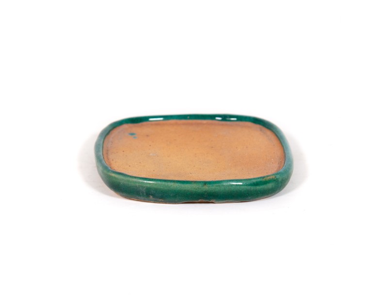 Plato 11 cm oval verde