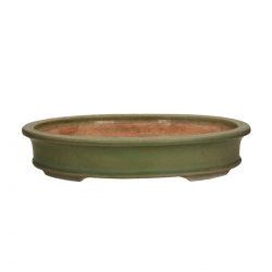 Tokoname - Hattori - 36,5 cm ovale verde