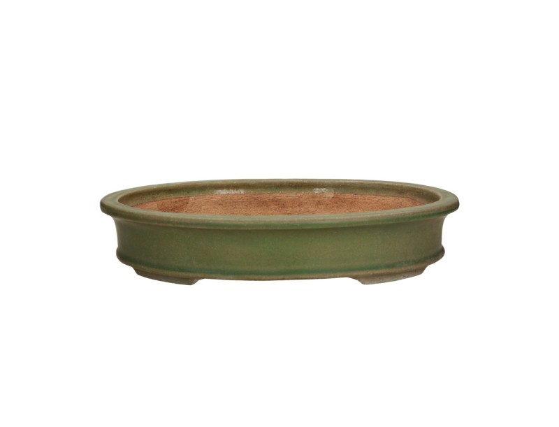Tokoname - Hattori - 36,5 cm, ovaal, groen
