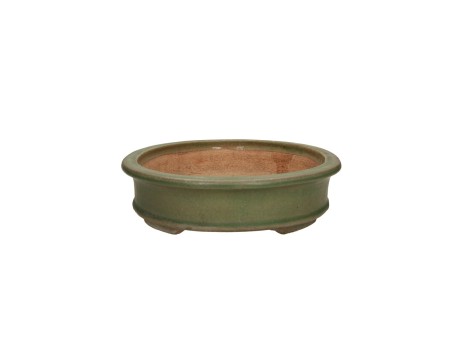 Tokoname - Hattori - 36,5 cm, ovaal, groen