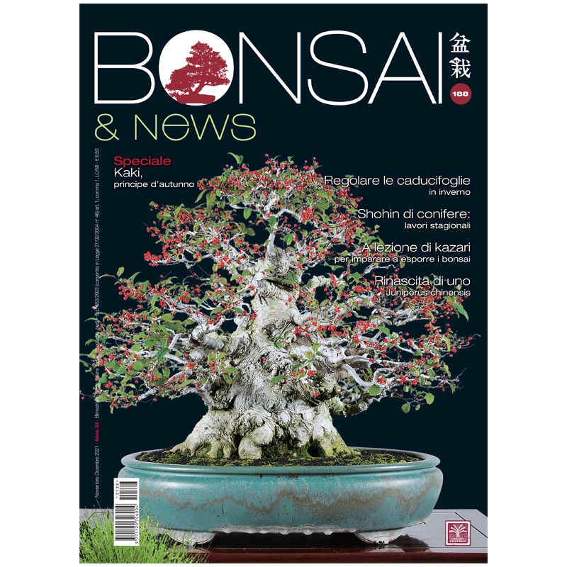 BONSAI & news 188 - Novembre-Dicembre 2021
