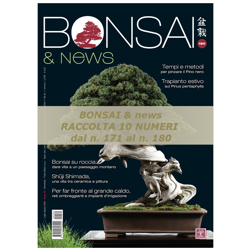 Raccolta BONSAI & news dal 171 al 180