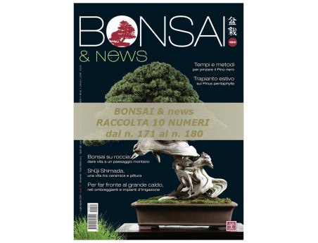 BONSAI & news du 171 au 180