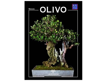 Olivo - Miniguida BONSAI & news