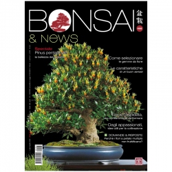 BONSAI & news 192 - Luglio-agosto 2022