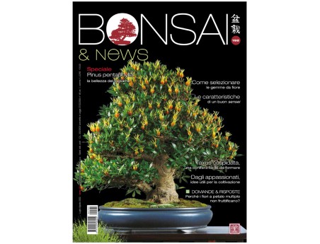 BONSAI & news 192 - July-August 2022