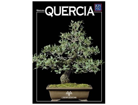 Quercia - Miniguida BONSAI & news