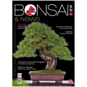 BONSAI & news 194 - Nov-Dec 2022