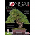 BONSAI & news 194 - Novembre-dicembre 2022